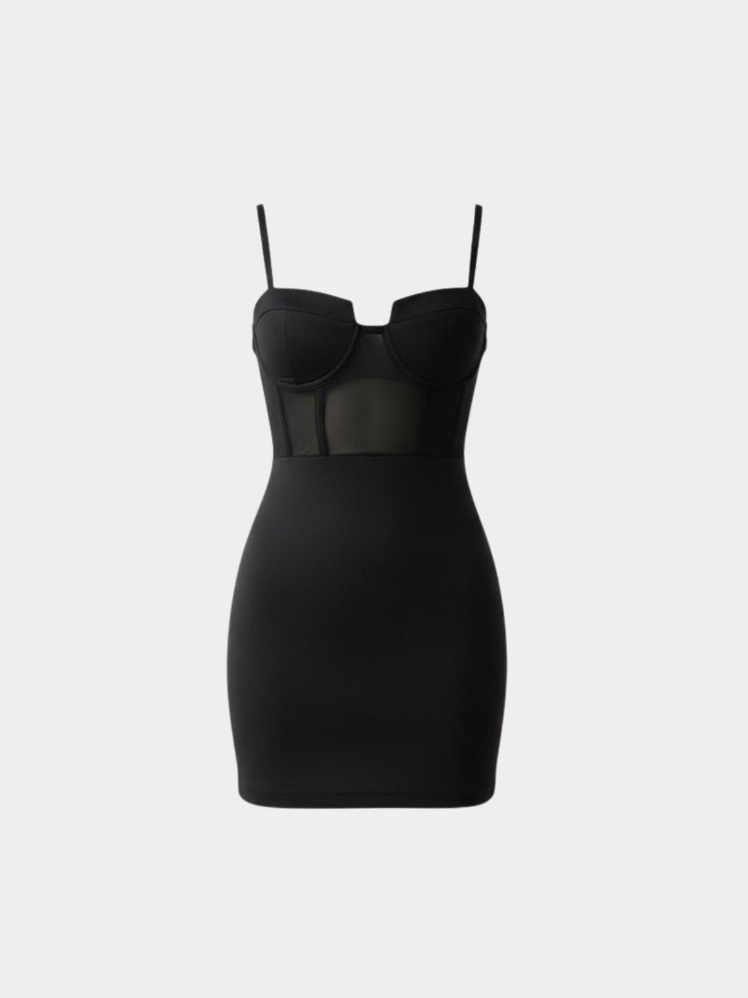 Women’s Mini Dress with Sheer Panel Detail